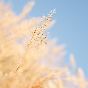 小色妞一区二区三区
